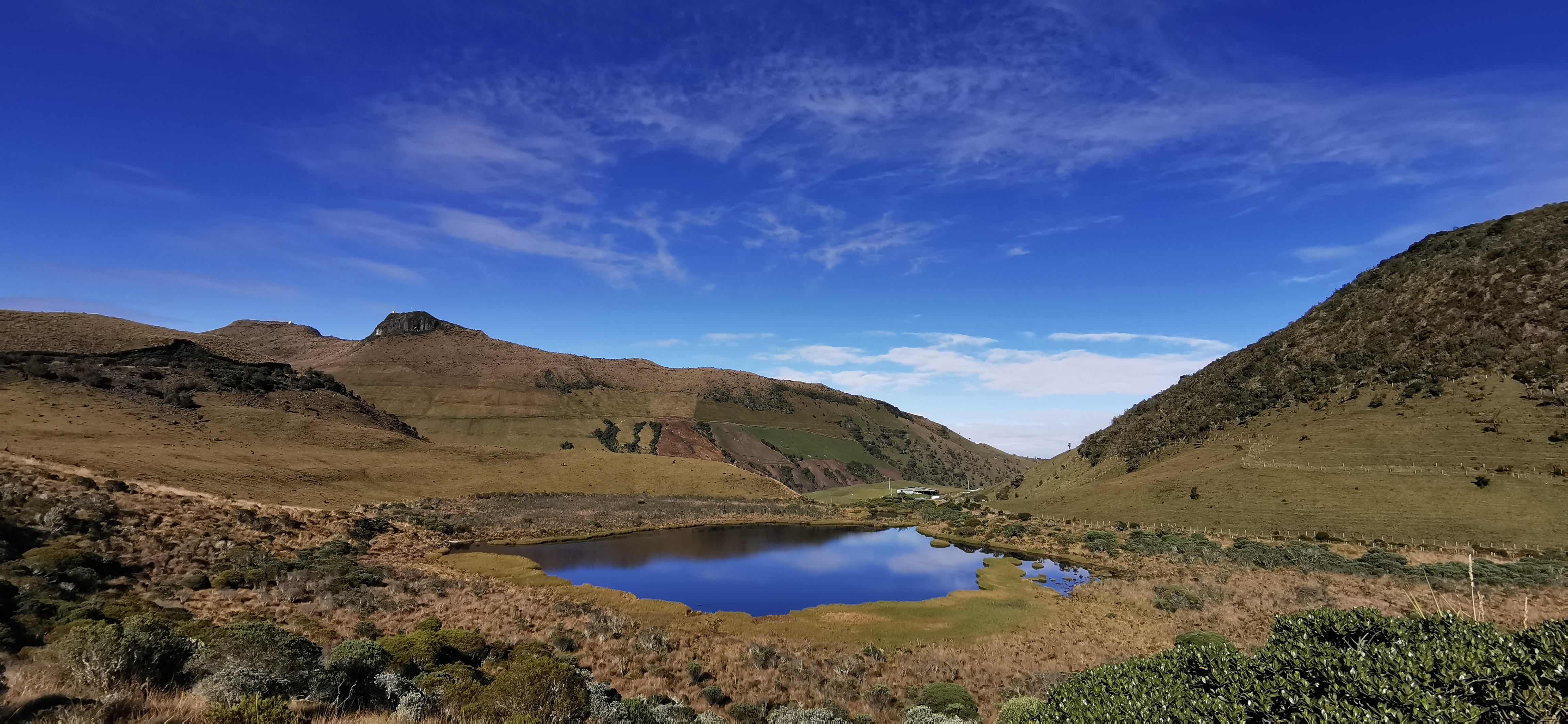 Western Andes