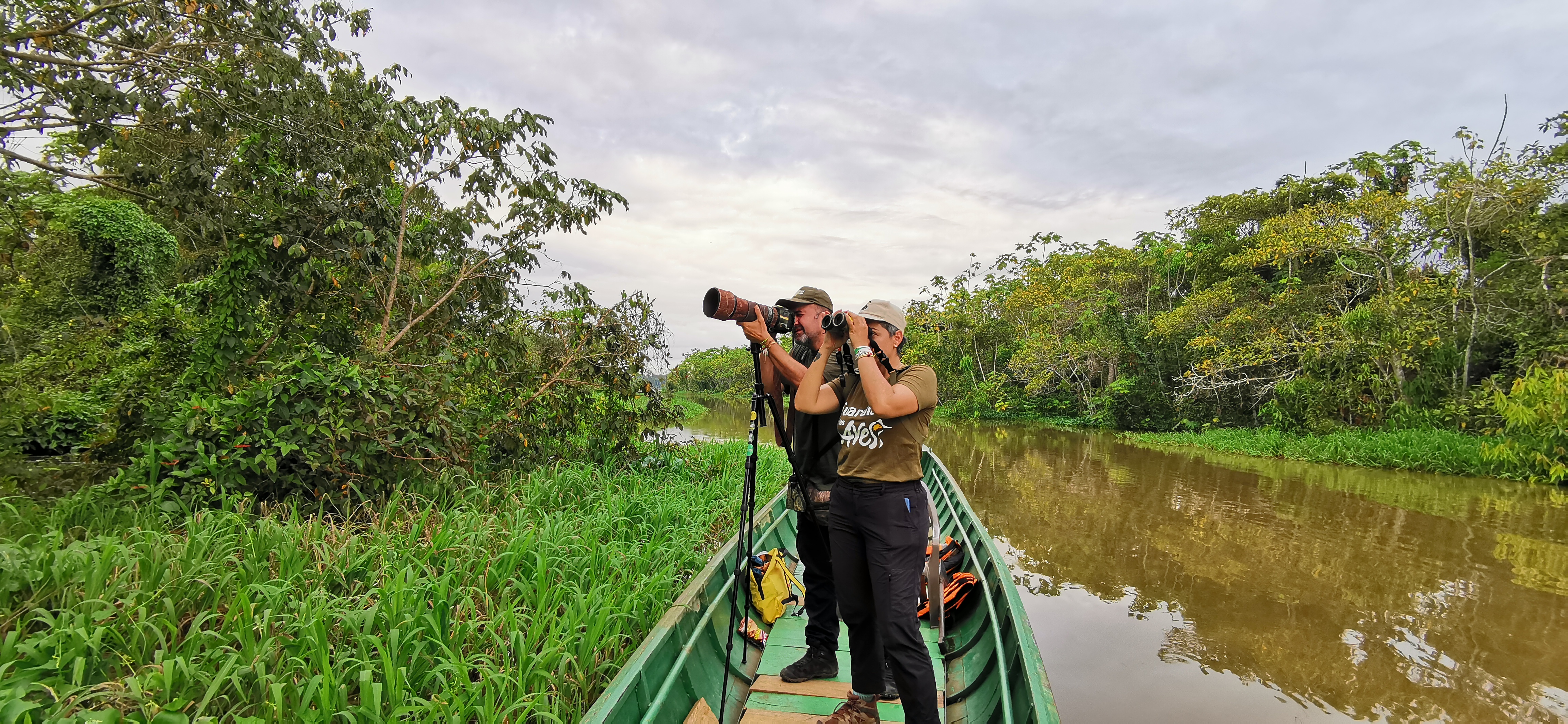 Birding by boat in the Colombian Amazon